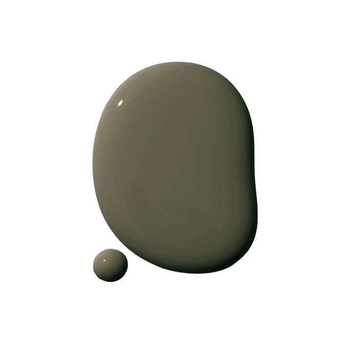field-trip-forest-green-paint-color-clare