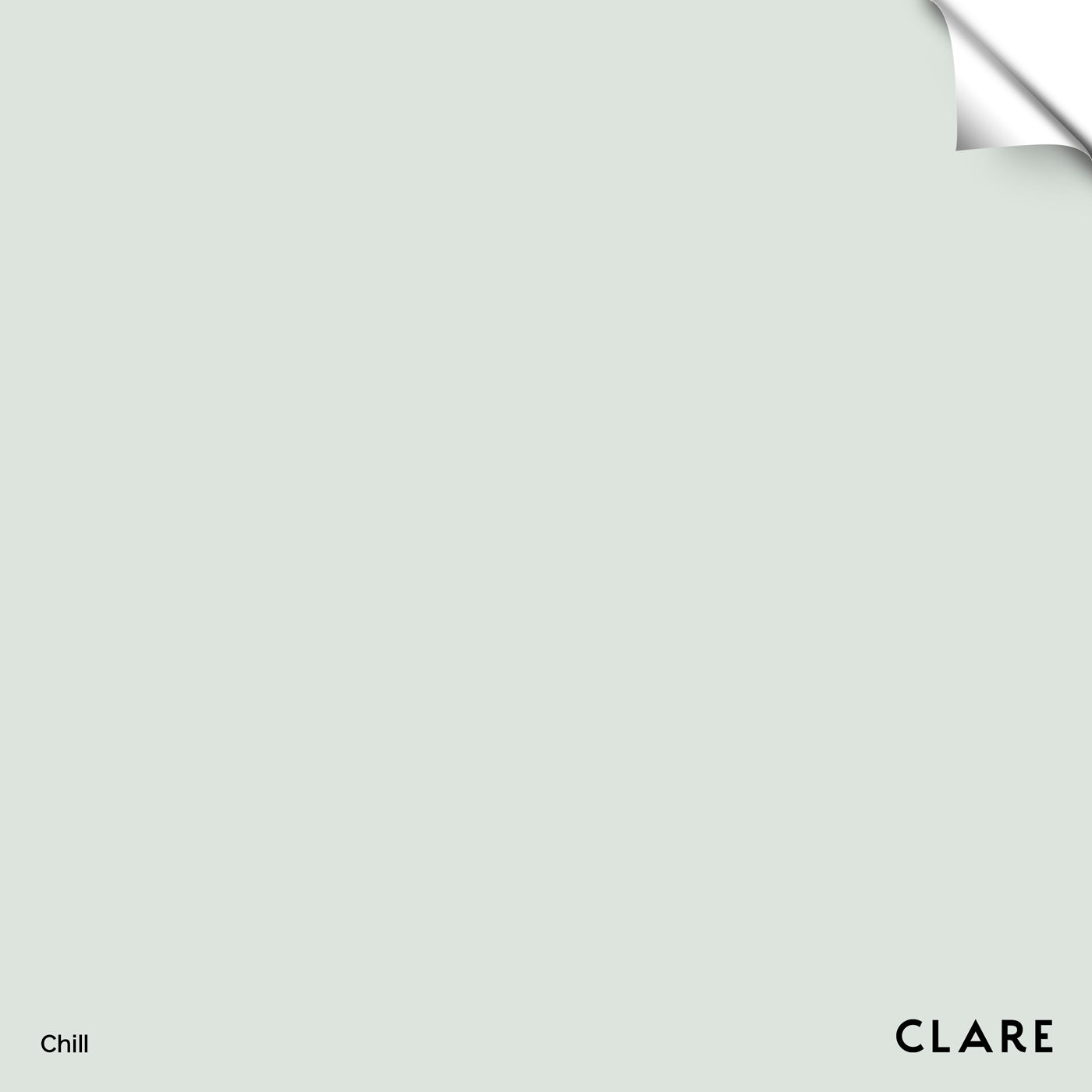 Chill Calm Gray Paint Color Clare