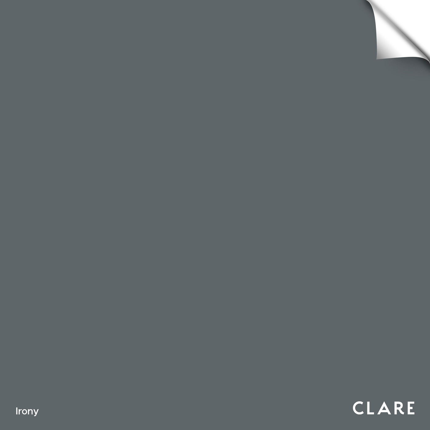 Irony Dark Gray Paint Color Clare