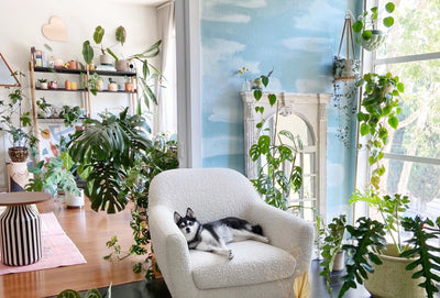 Painted Clouds Turned This Living Room Into a Dreamy Plant Paradise