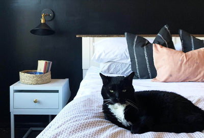 5 Spaces With Black Walls That Will Make You Reconsider the Dark Hue
