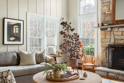 Holiday Hosting Made Easy: Quick Paint Fixes that WOW!