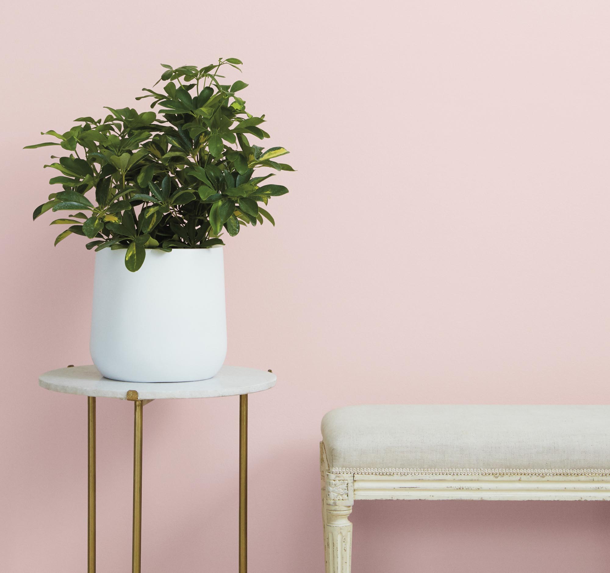 6 Spring Paint Colors That Also Work For Fall | Blog – Clare