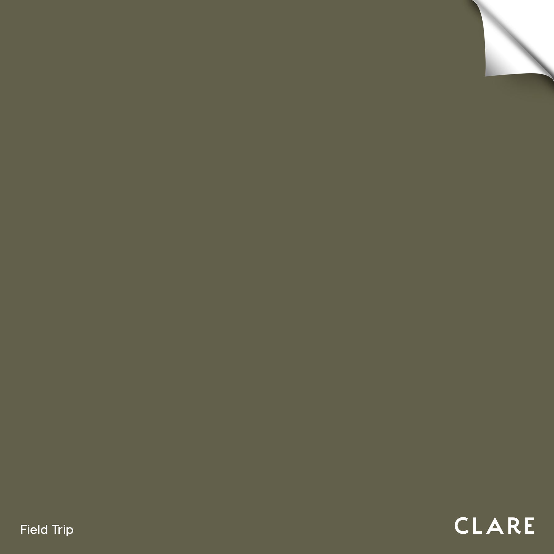 Field Trip | Forest Green Paint Color | Clare